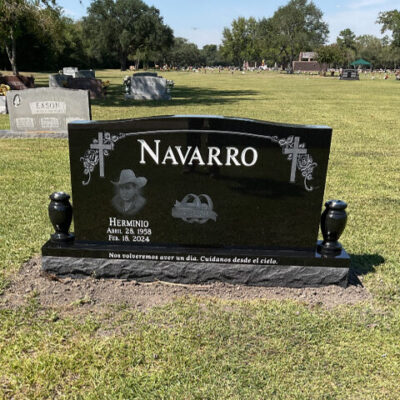 Navarro